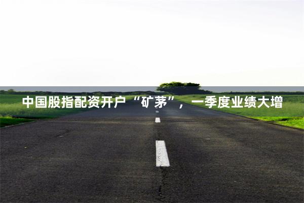 中国股指配资开户 “矿茅”，一季度业绩大增