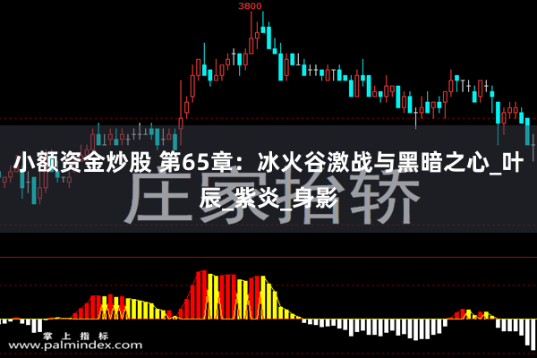 小额资金炒股 第65章：冰火谷激战与黑暗之心_叶辰_紫炎_身影