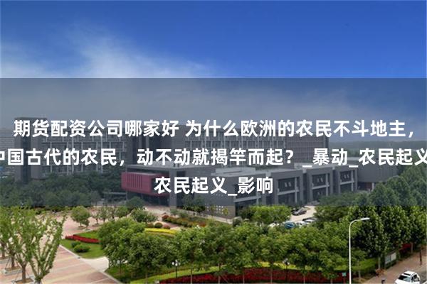 期货配资公司哪家好 为什么欧洲的农民不斗地主，不像中国古代的农民，动不动就揭竿而起？_暴动_农民起义_影响