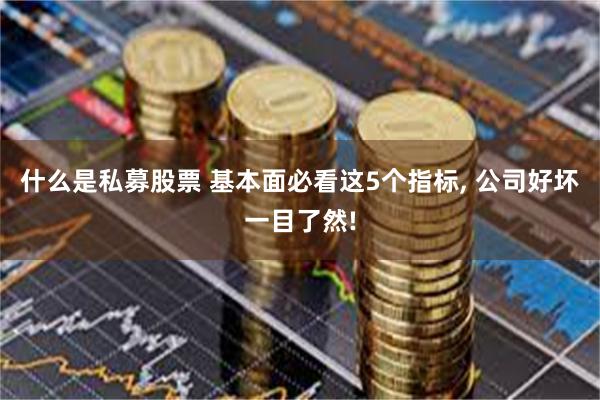 什么是私募股票 基本面必看这5个指标, 公司好坏一目了然!