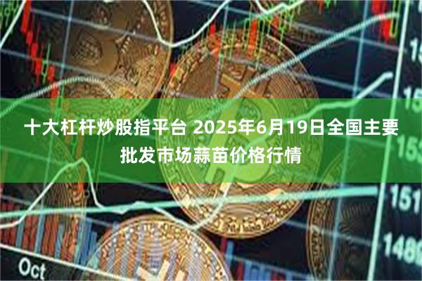 十大杠杆炒股指平台 2025年6月19日全国主要批发市场蒜苗价格行情