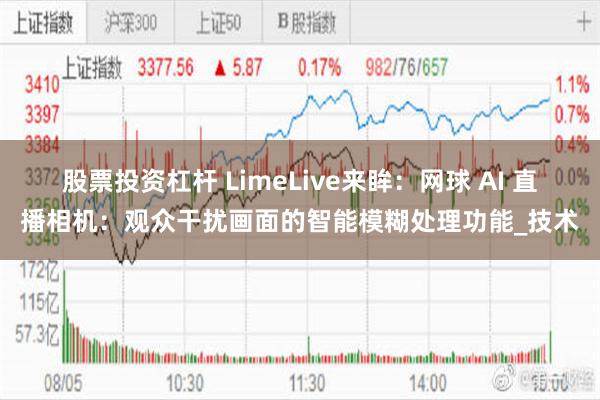 股票投资杠杆 LimeLive来眸：网球 AI 直播相机：观众干扰画面的智能模糊处理功能_技术