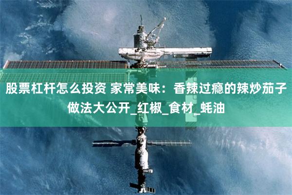 股票杠杆怎么投资 家常美味：香辣过瘾的辣炒茄子做法大公开_红椒_食材_蚝油