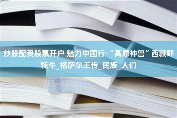 炒股配资股票开户 魅力中国行·“高原神兽”西藏野牦牛_格萨尔王传_民族_人们