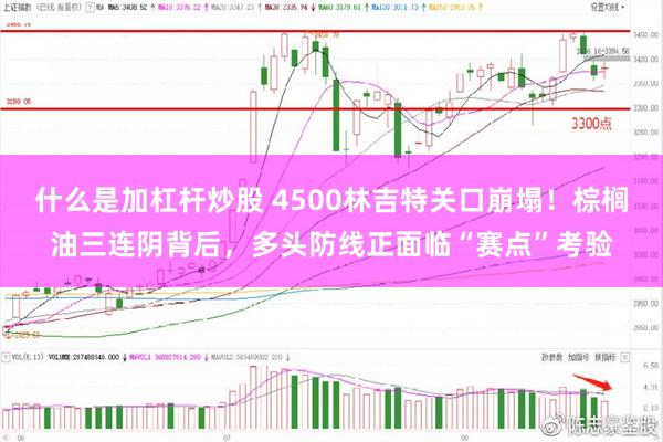 什么是加杠杆炒股 4500林吉特关口崩塌！棕榈油三连阴背后，多头防线正面临“赛点”考验