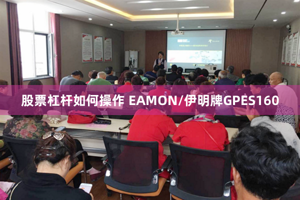 股票杠杆如何操作 EAMON/伊明牌GPES160