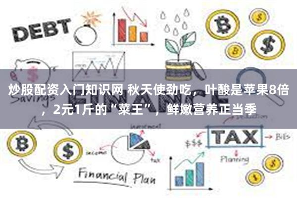 炒股配资入门知识网 秋天使劲吃，叶酸是苹果8倍，2元1斤的“菜王”，鲜嫩营养正当季