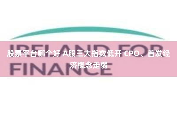 股票平台哪个好 A股三大指数低开 CPO、首发经济概念走弱